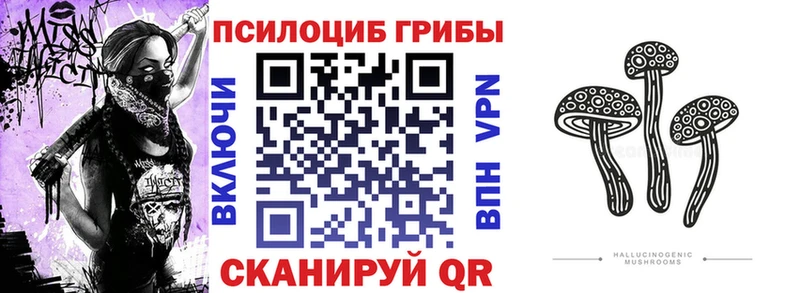 Галлюциногенные грибы MAGIC MUSHROOMS  МЕГА ссылка  Истра 