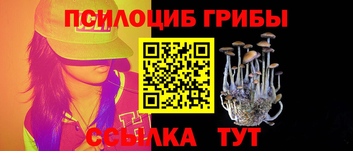 Истра  Псилоцибиновые грибы Psilocybine cubensis  Вход с VPN 